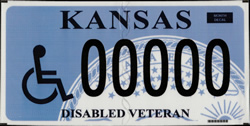Disabled Veteran Plate